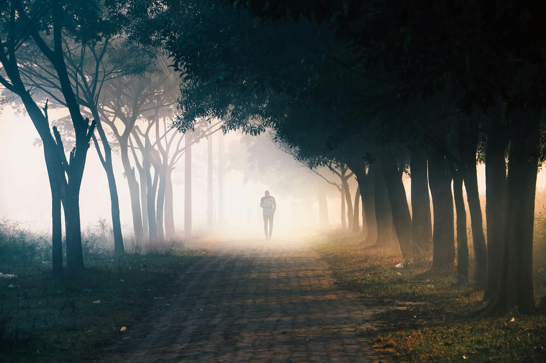 Person walking on a tree-lined path in morning light with a water bottle and fitness tracker on their wrist