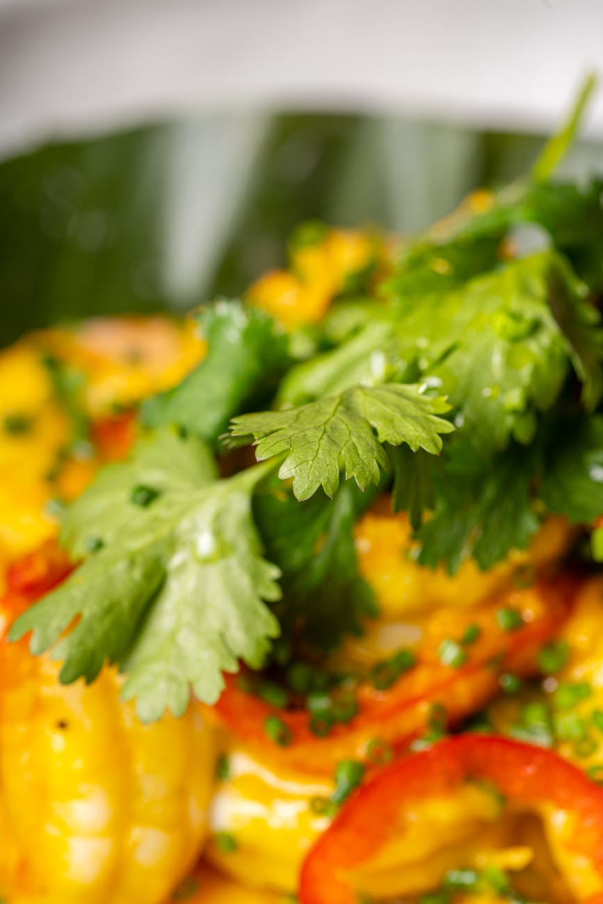 Colorful global cuisine spread including curry, sushi, paella, tacos, and pho with fresh herbs and traditional ingredients on a wooden surface